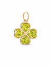 Lucky CZ Pendant Charm