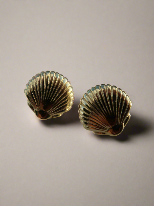 Shell Earrings