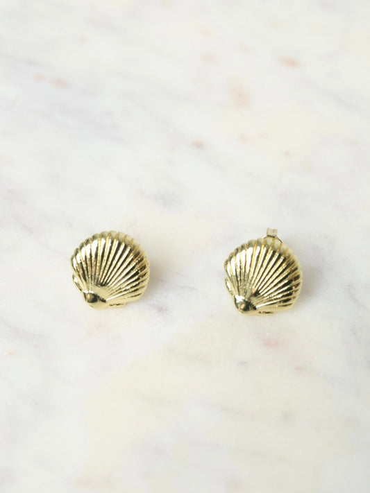 Shell Earrings