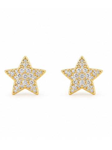 Star Stud Earring