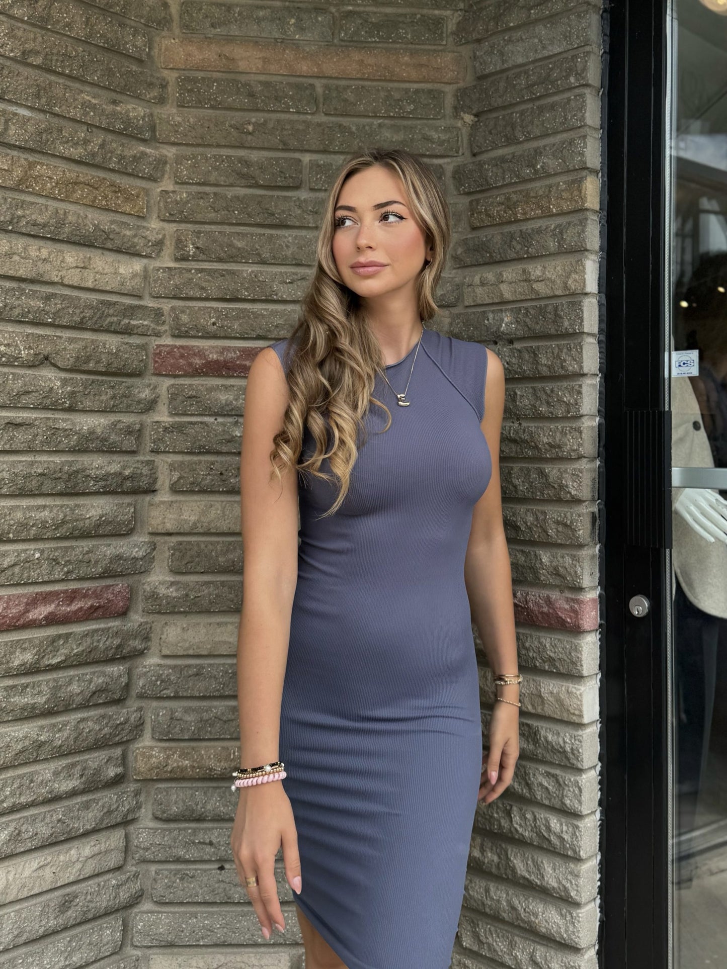 Sleeveless Bodycon Dress | D660